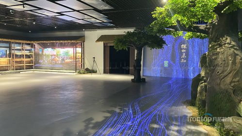 數(shù)字創(chuàng)意先鋒，國際榮耀加冕 凡拓?cái)?shù)創(chuàng)趙崇光榮獲idpa award top100國際影響力創(chuàng)新設(shè)計(jì)師大獎(jiǎng)